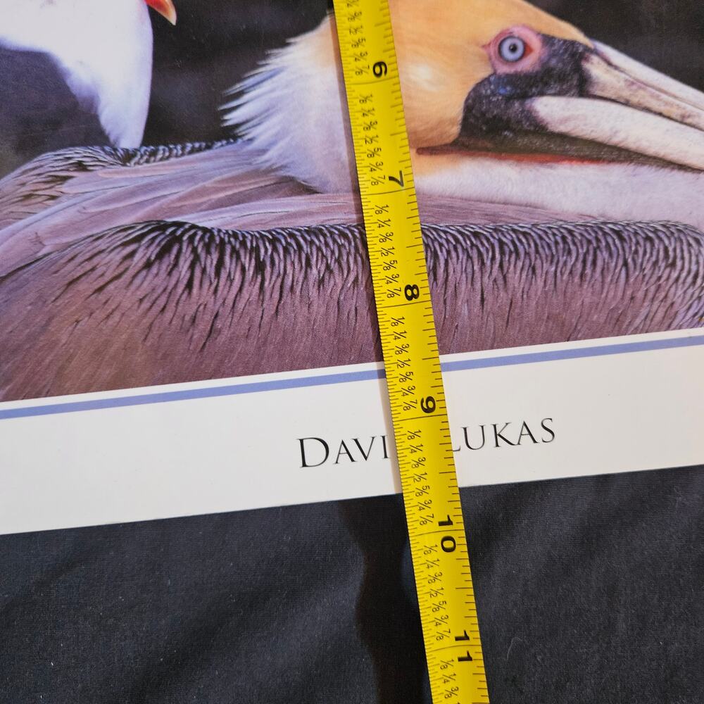 Wild Birds of California By David‎ Luca Paperback - Picture 8 of 8